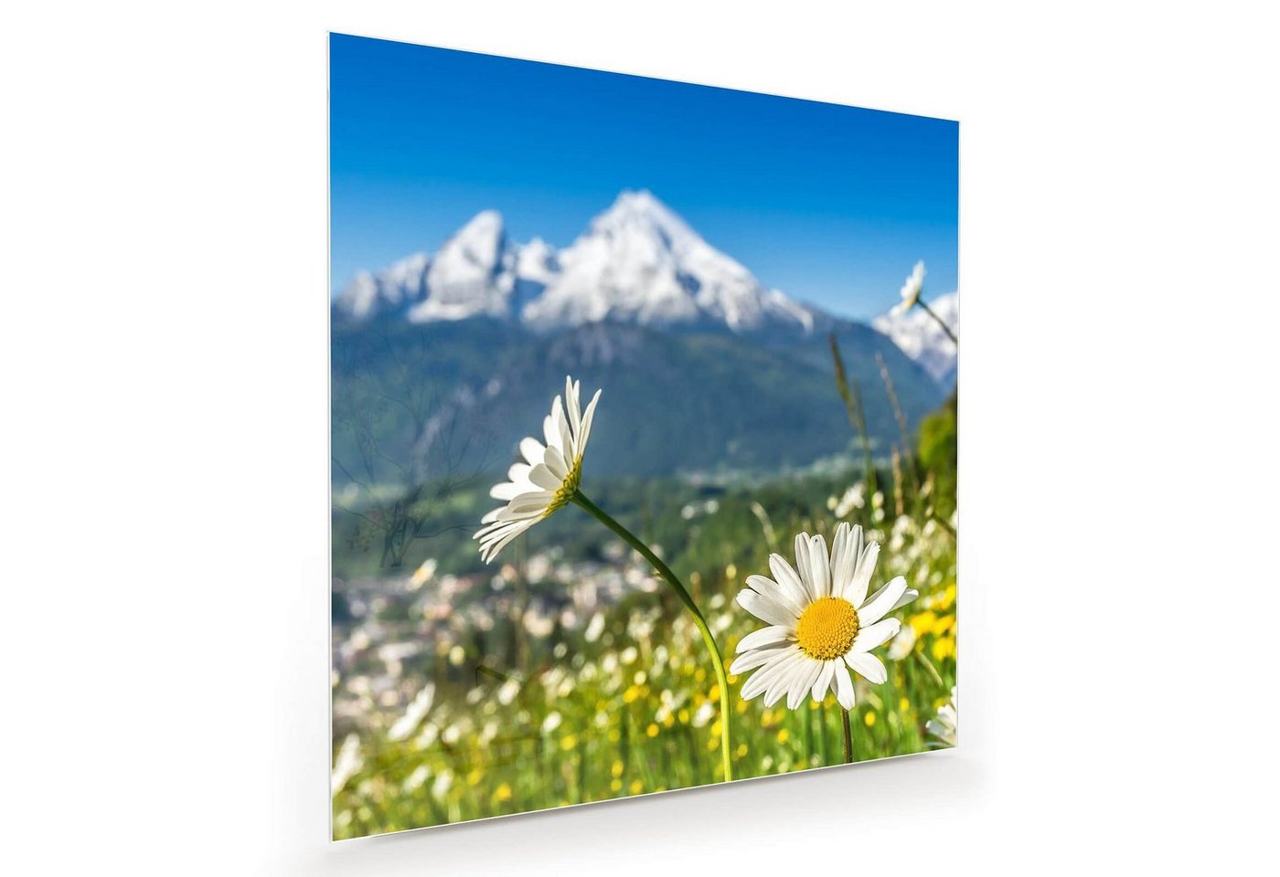 Primedeco Glasbild Wandbild Quadratisch Blütenwiese mit Aufhängung, Natur von Primedeco