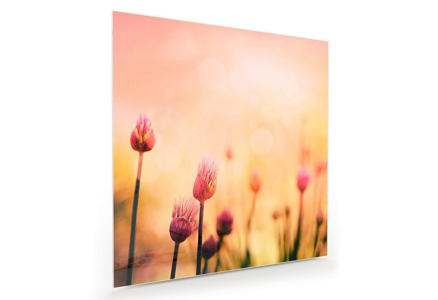 Primedeco Glasbild Wandbild Quadratisch Blumenwiese mit Aufhängung, Blumen von Primedeco