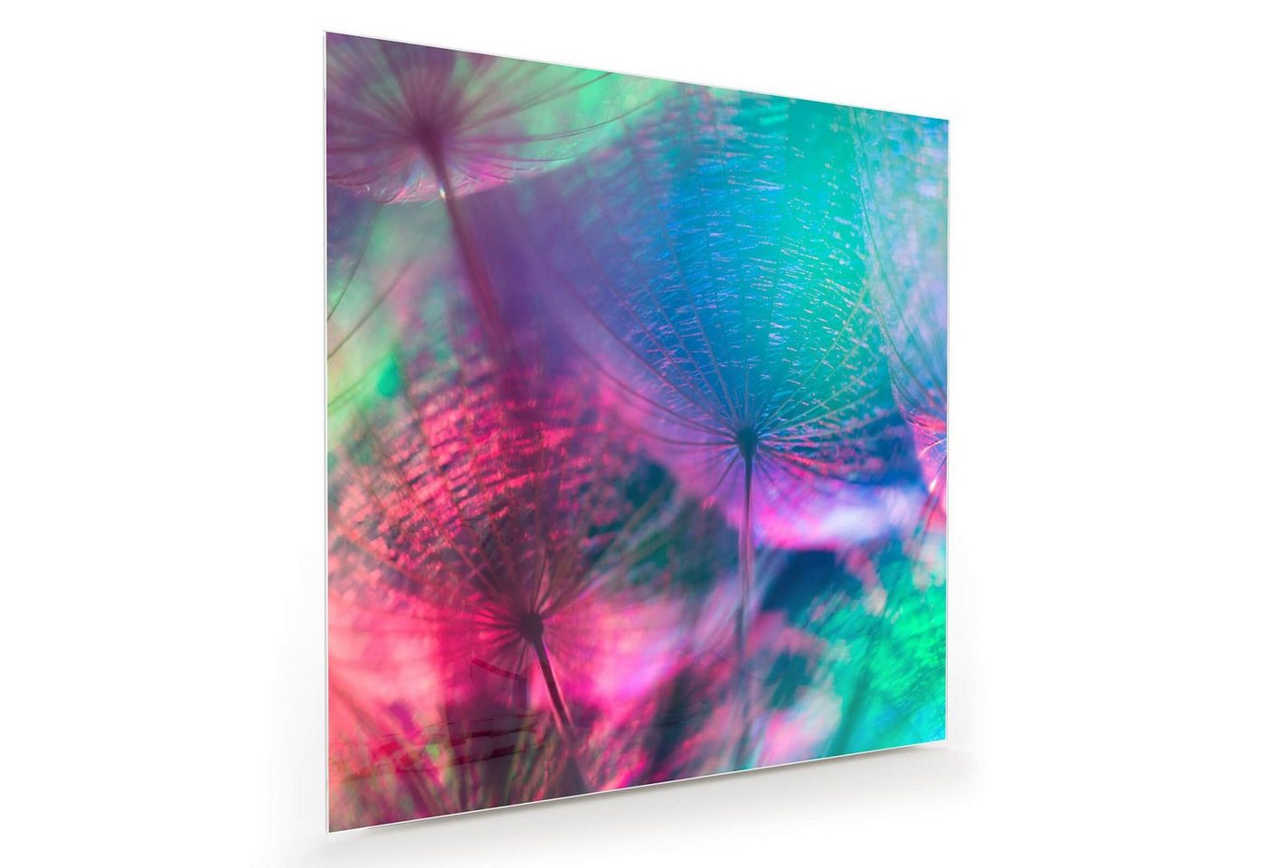 Primedeco Glasbild Wandbild Quadratisch Bunter Hintergrund mit Aufhängung, Blumen von Primedeco