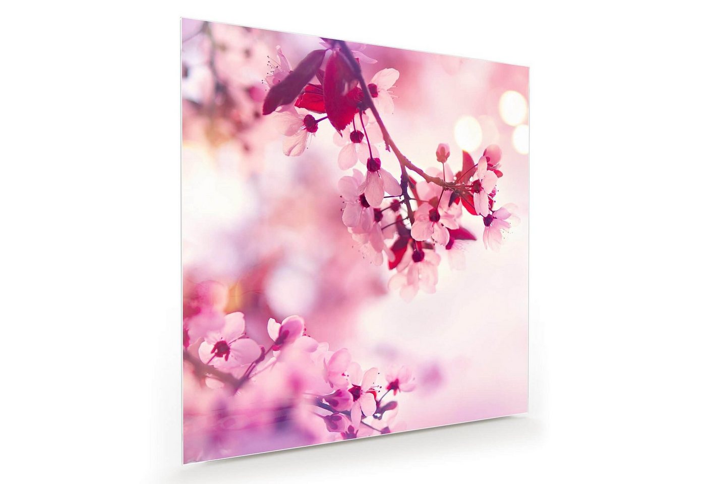 Primedeco Glasbild Wandbild Quadratisch Frühlingsblüte mit Aufhängung, Blumen von Primedeco