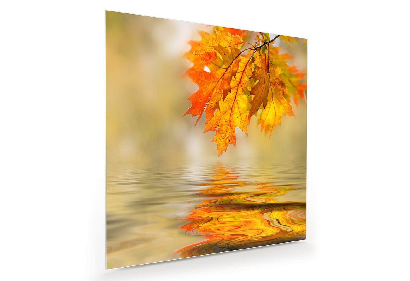 Primedeco Glasbild Wandbild Quadratisch Herbstast am Wasser mit Aufhängung, Natur von Primedeco