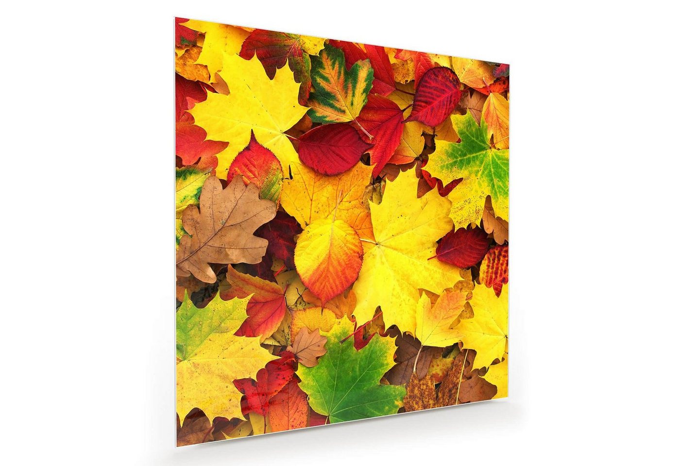 Primedeco Glasbild Wandbild Quadratisch Herbstblätter mit Aufhängung, Blumen von Primedeco