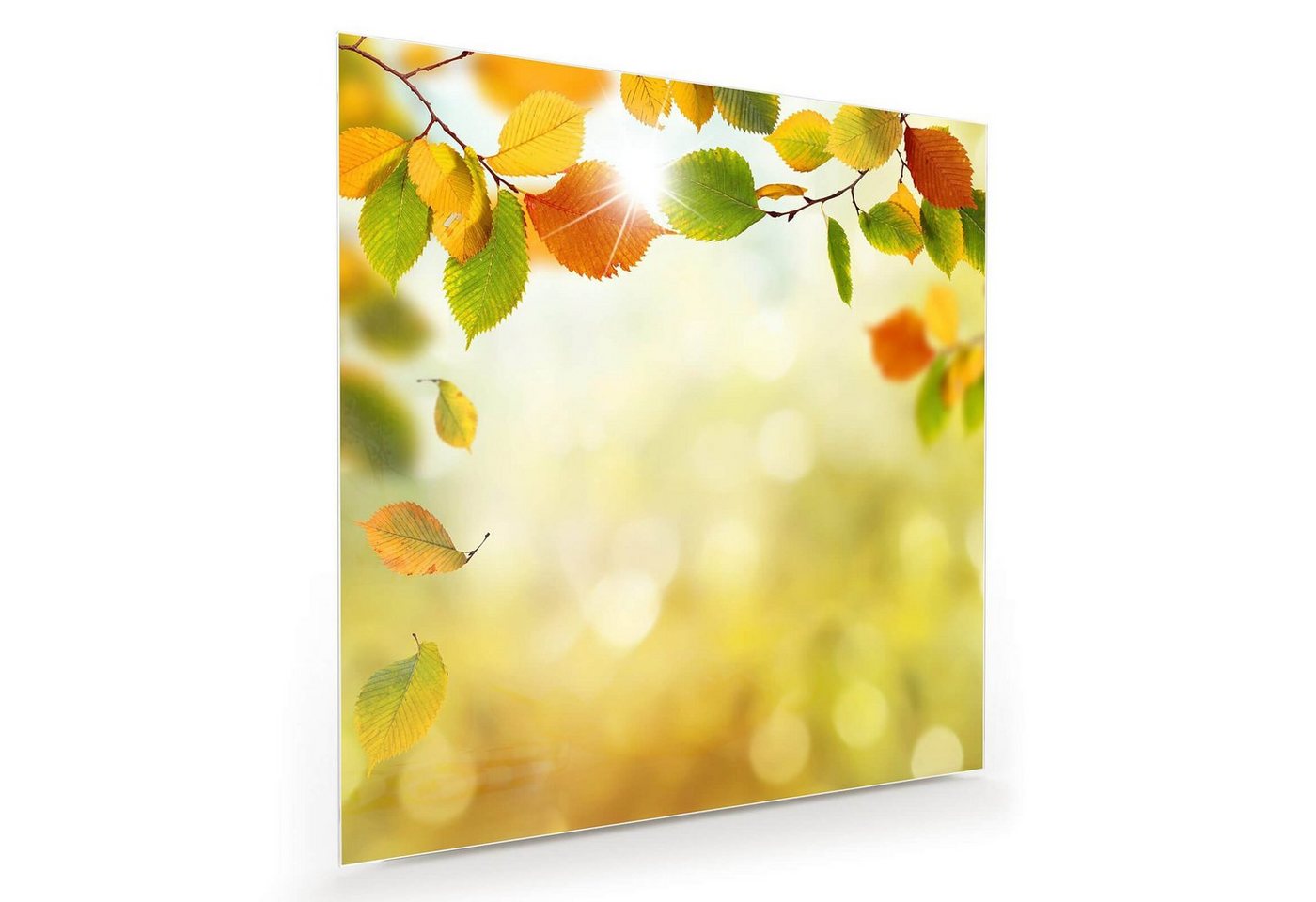 Primedeco Glasbild Wandbild Quadratisch Herbstliche Stimmung mit Aufhängung, Blumen von Primedeco