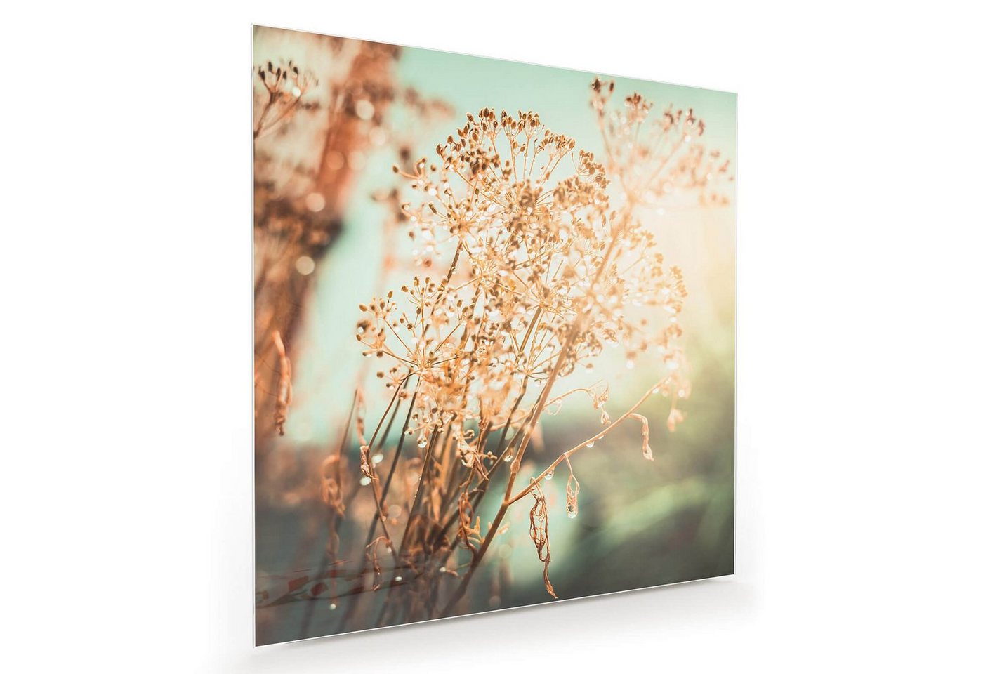 Primedeco Glasbild Wandbild Quadratisch Herbstlicher Sonnenuntergang mit Aufhängung, Blumen von Primedeco