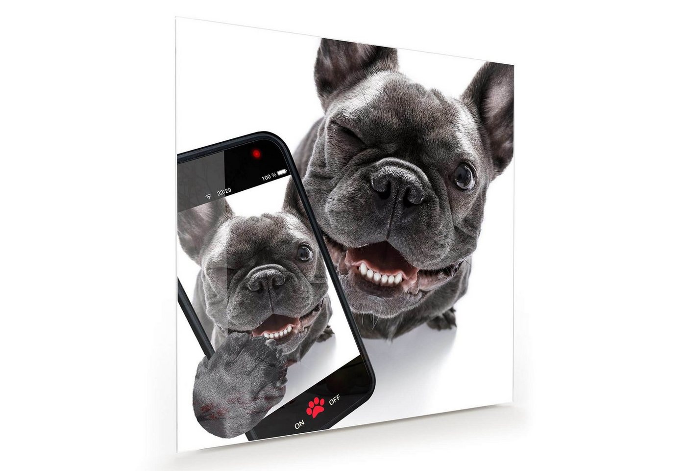 Primedeco Glasbild Wandbild Quadratisch Hund mit Handy in Pfote mit Aufhängung, Tiere von Primedeco