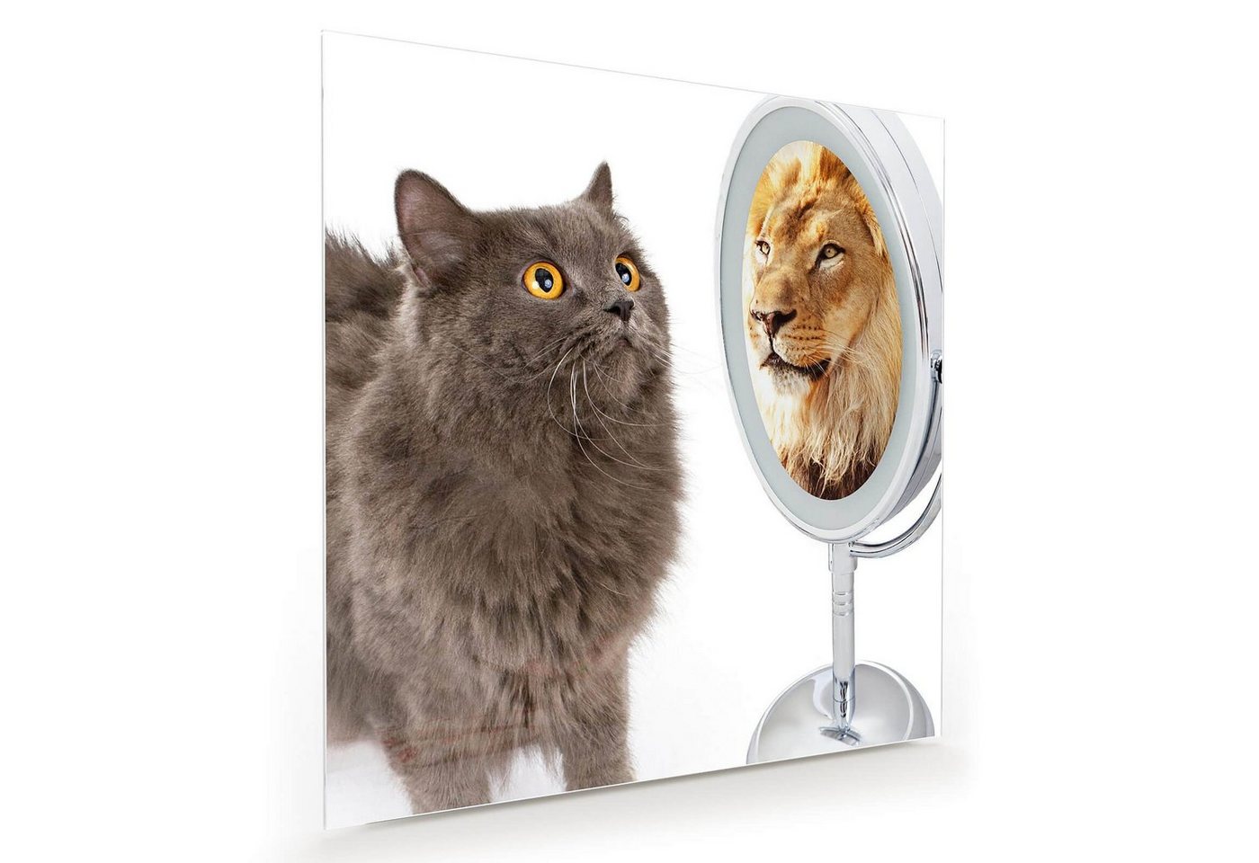 Primedeco Glasbild Wandbild Quadratisch Katze sieht Löwe im Spiegel mit Aufhängung, Tiere von Primedeco