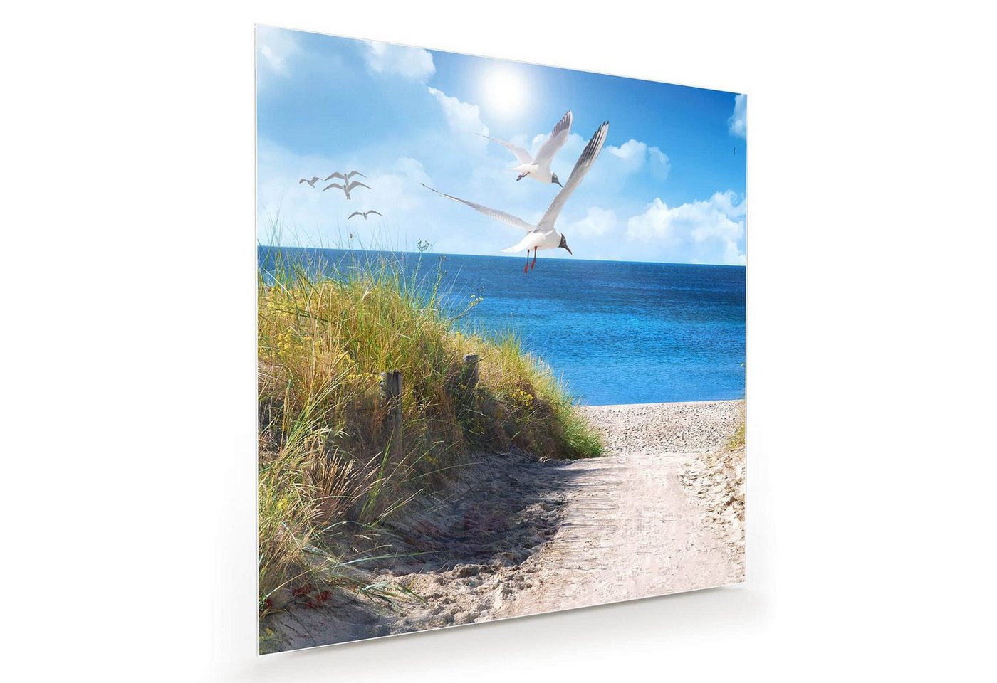 Primedeco Glasbild Wandbild Quadratisch Möwen am Meer mit Aufhängung, Natur von Primedeco