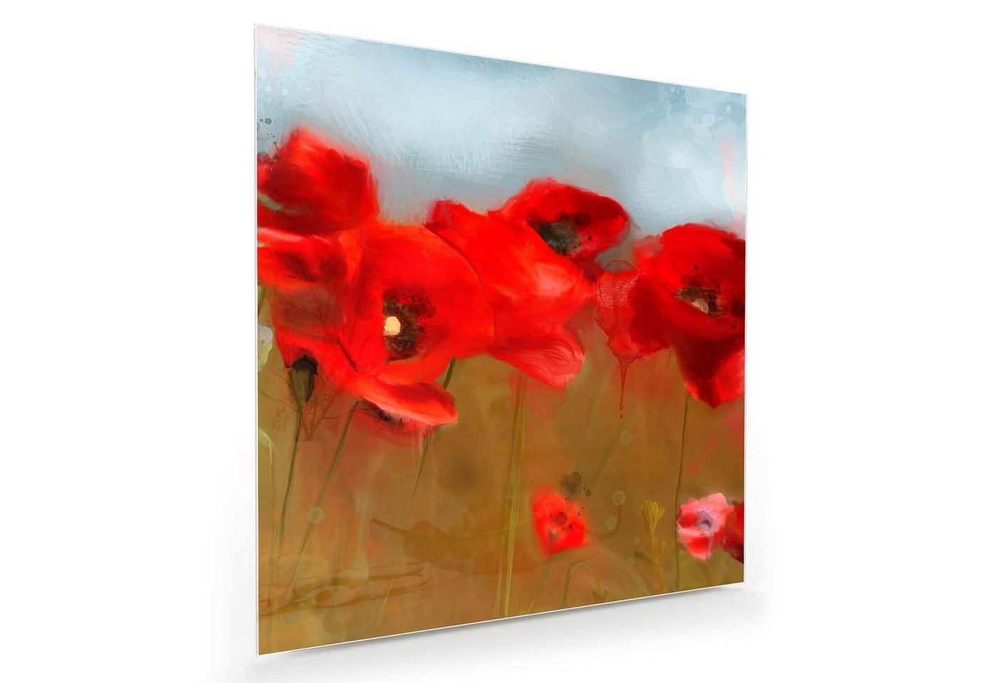 Primedeco Glasbild Wandbild Quadratisch Mohnfeld mit Aufhängung, Blumen von Primedeco