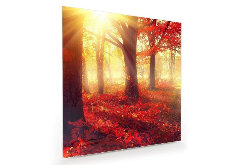 Primedeco Glasbild Wandbild Quadratisch Nebliger Herbstwald mit Aufhängung, Natur von Primedeco