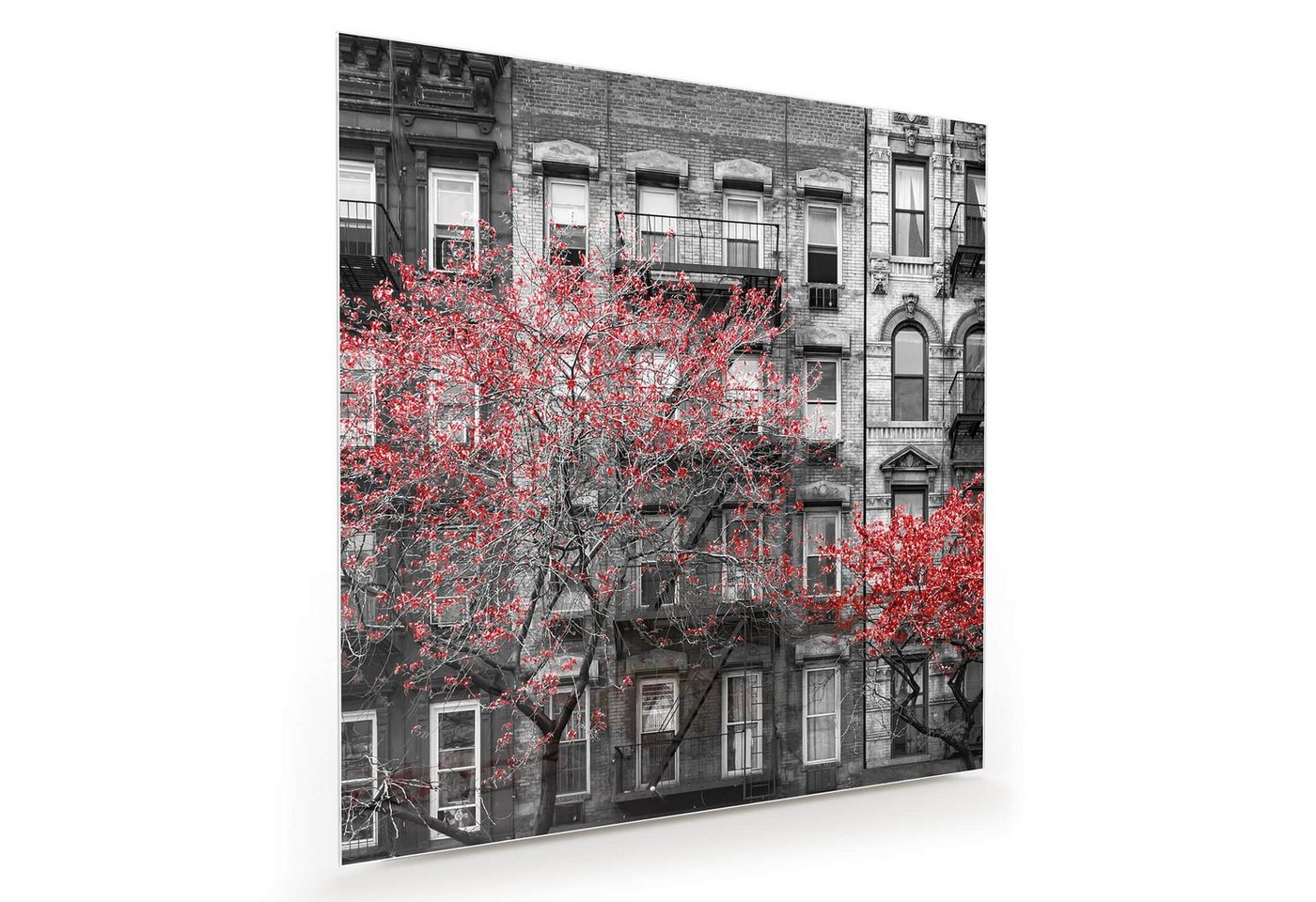 Primedeco Glasbild Wandbild Quadratisch Rote Bäume, NYC mit Aufhängung, Städte & Länder von Primedeco