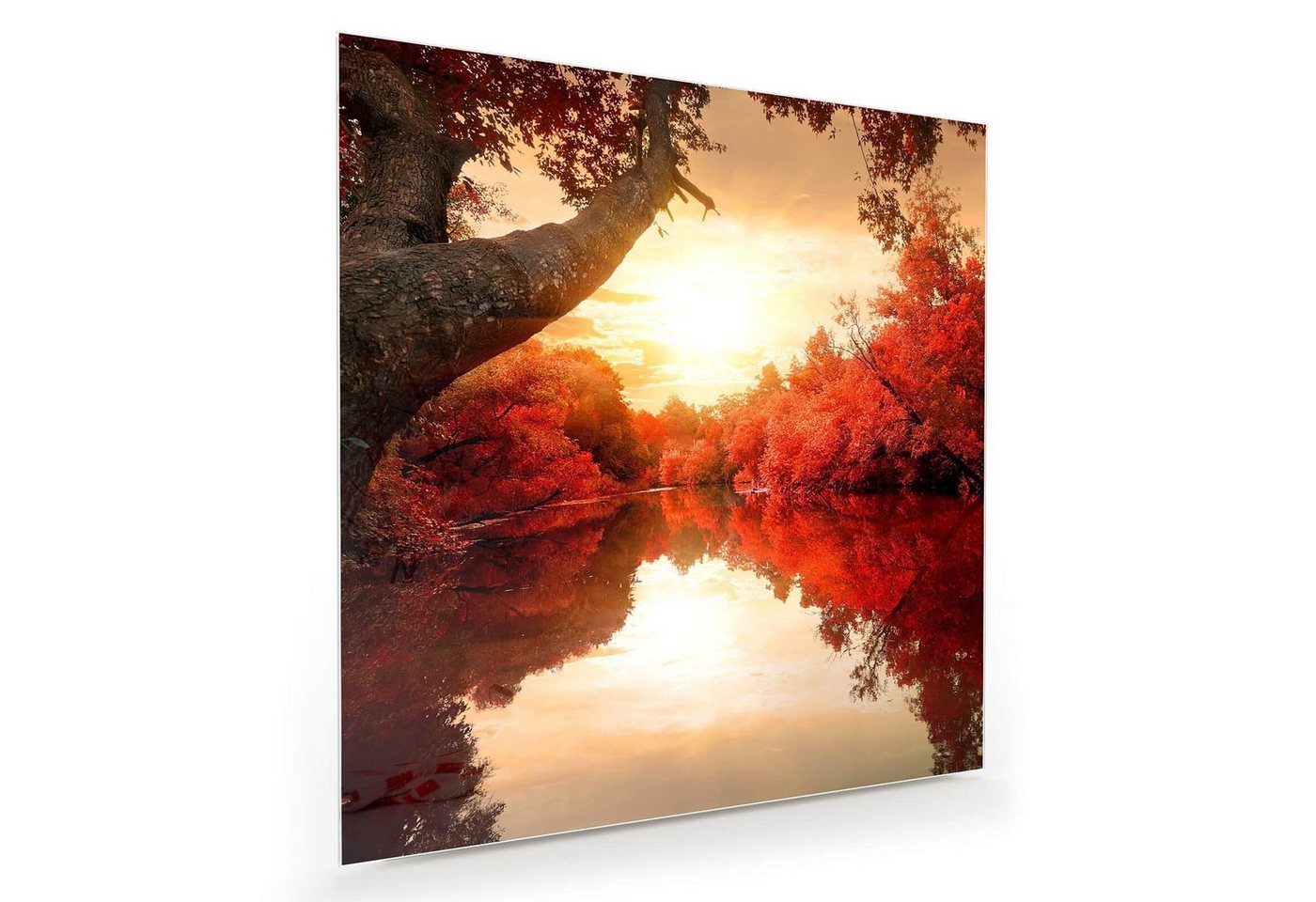 Primedeco Glasbild Wandbild Quadratisch Rote Bäume am Fluss mit Aufhängung, Natur von Primedeco