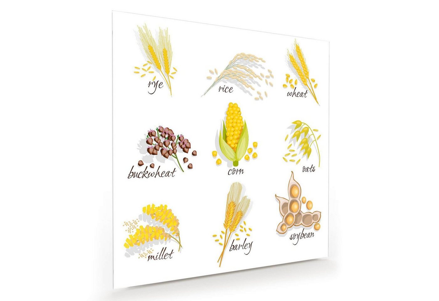 Primedeco Glasbild Wandbild Quadratisch Symbol für Cerealien mit Aufhängung, Cerealien von Primedeco