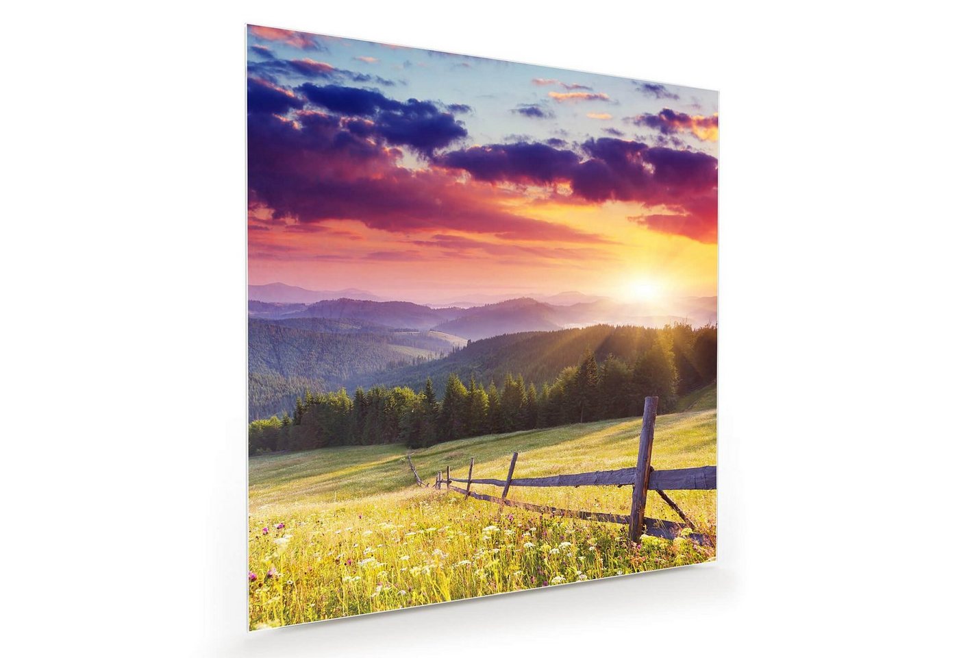 Primedeco Glasbild Wandbild Quadratisch Wiese im Sonnenuntergang mit Aufhängung, Natur von Primedeco