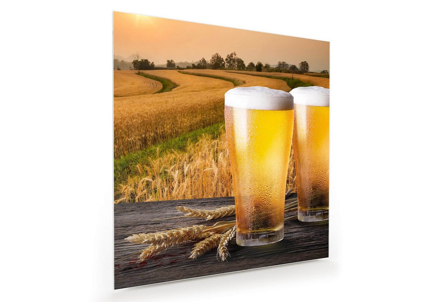 Primedeco Glasbild Wandbild Quadratisch Zwei Biergläser vor Gersten mit Aufhängung, Getränke von Primedeco