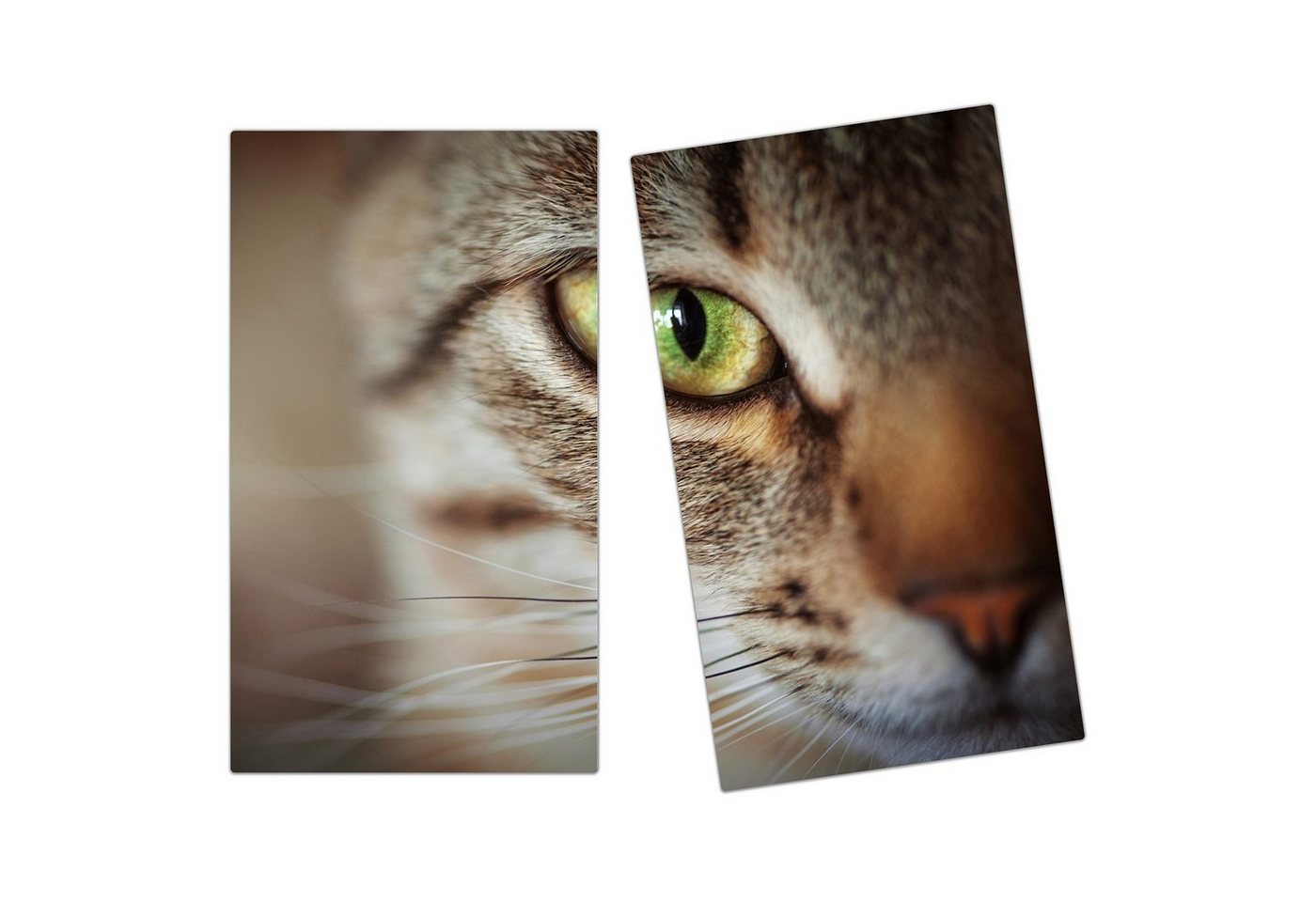 Primedeco Herd-Abdeckplatte Herdabdeckplatte Spritzschutz aus Glas Gesicht von getigerter Katze, Glas, (2 tlg) von Primedeco
