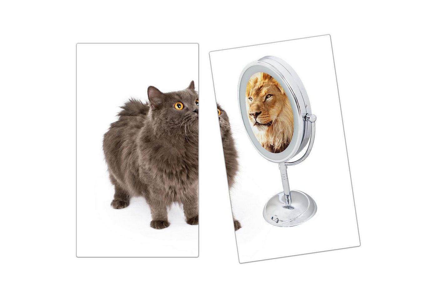 Primedeco Herd-Abdeckplatte Herdabdeckplatte Spritzschutz aus Glas Katze sieht Löwe im Spiegel, Glas, (2 tlg) von Primedeco
