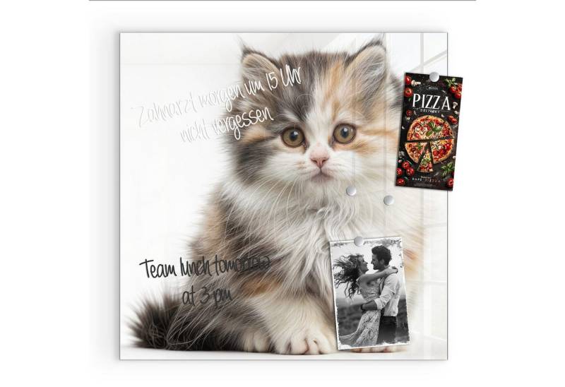 Primedeco Magnettafel Glas Flauschige Katze Pinnwand Whiteboard beschreibbar, (Inklusive Stift, Magnete und Montagematerial, 1-tlg., 9 verschiedene Größen), Magnetisch und Beschreibbar Primedeco Magnettafel Glas Flauschige Katze Pinnwand Whiteboard beschreibbar, (Inklusive Stift, Magnete und Montagematerial, 1-tlg., 9 verschiedene Größen), Magnetisch und Beschreibbar von Primedeco