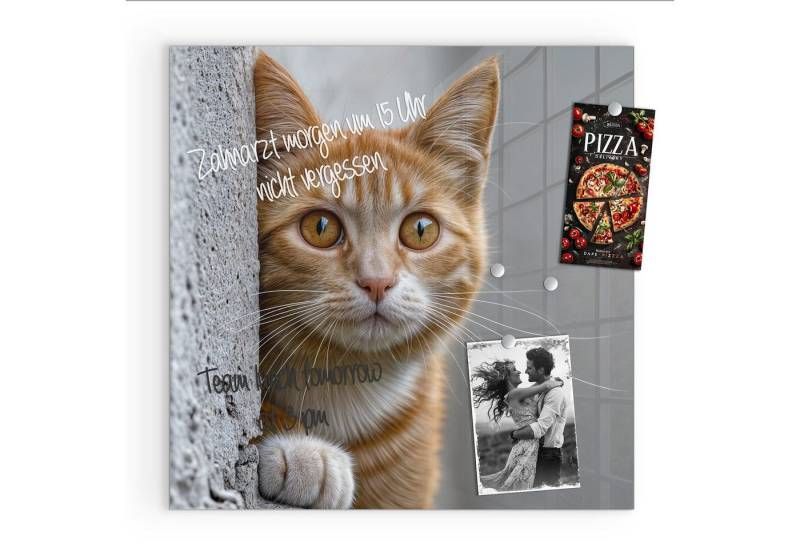 Primedeco Magnettafel Glas Neugierige Katze Pinnwand Whiteboard beschreibbar, (Inklusive Stift, Magnete und Montagematerial, 1-tlg., 9 verschiedene Größen), Magnetisch und Beschreibbar von Primedeco