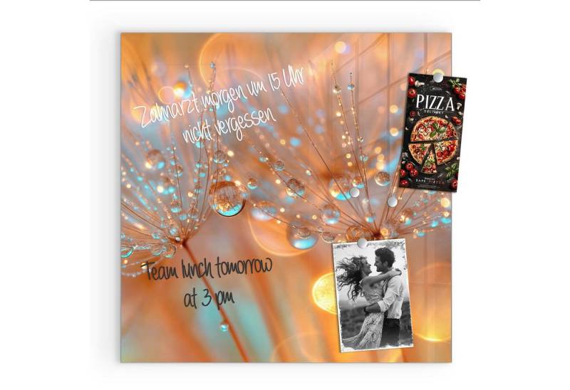 Primedeco Magnettafel Glas Pusteblumen Tropfen Pinnwand Whiteboard beschreibbar, (Inklusive Stift, Magnete und Montagematerial, 1-tlg., 9 verschiedene Größen), Magnetisch und Beschreibbar von Primedeco