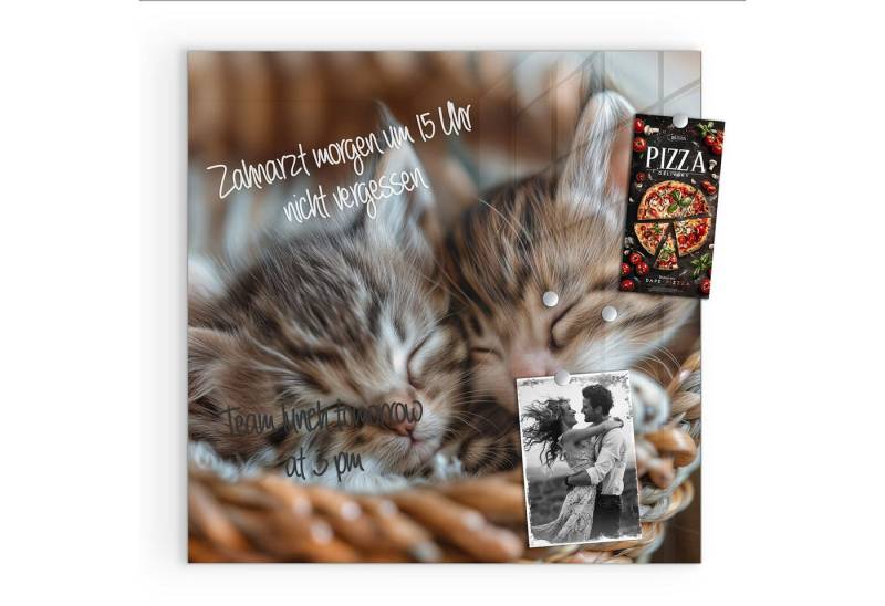 Primedeco Magnettafel Glas Schlafende Kätzchen Pinnwand Whiteboard beschreibbar, (Inklusive Stift, Magnete und Montagematerial, 1-tlg., 9 verschiedene Größen), Magnetisch und Beschreibbar von Primedeco