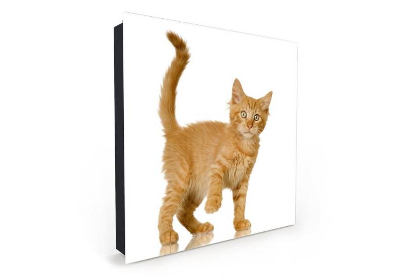 Primedeco Schlüsselkasten Magnetpinnwand mit Glasfront Kätzchen vor heller Wand (1 St) Primedeco Schlüsselkasten Magnetpinnwand mit Glasfront Kätzchen vor heller Wand (1 St) von Primedeco