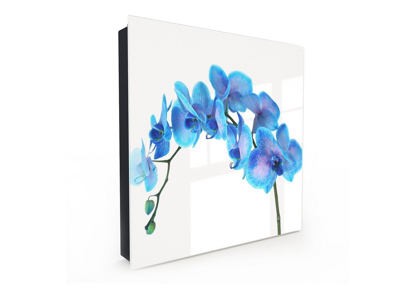 Primedeco Schlüsselkasten Magnetpinnwand und Memoboard mit Glasfront Motiv Orchideenzweig (1 St) von Primedeco
