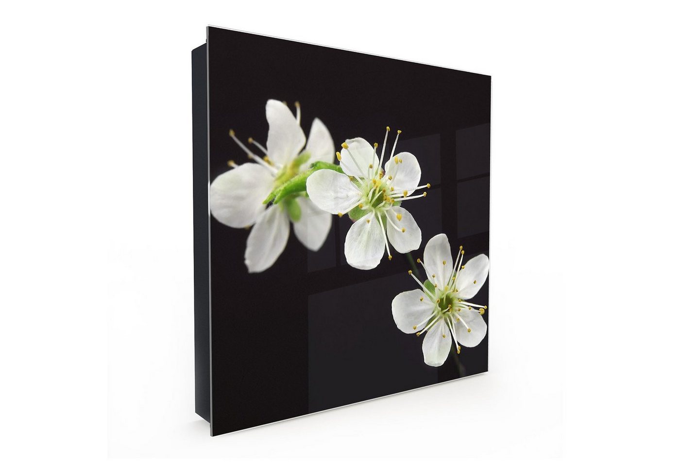 Primedeco Schlüsselkasten Magnetpinnwand und Memoboard mit Glasfront Motiv Weisse Blumen (1 St) von Primedeco