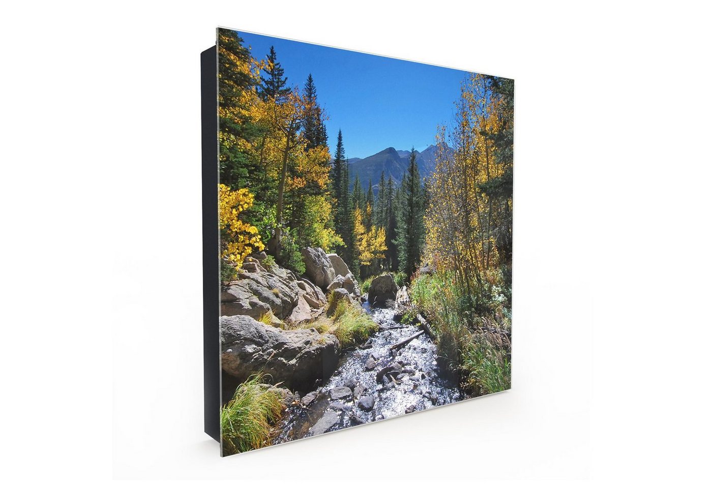 Primedeco Schlüsselkasten Magnetpinnwand und Memoboard mit Glasfront Motiv Wilde Natur (1 St) von Primedeco