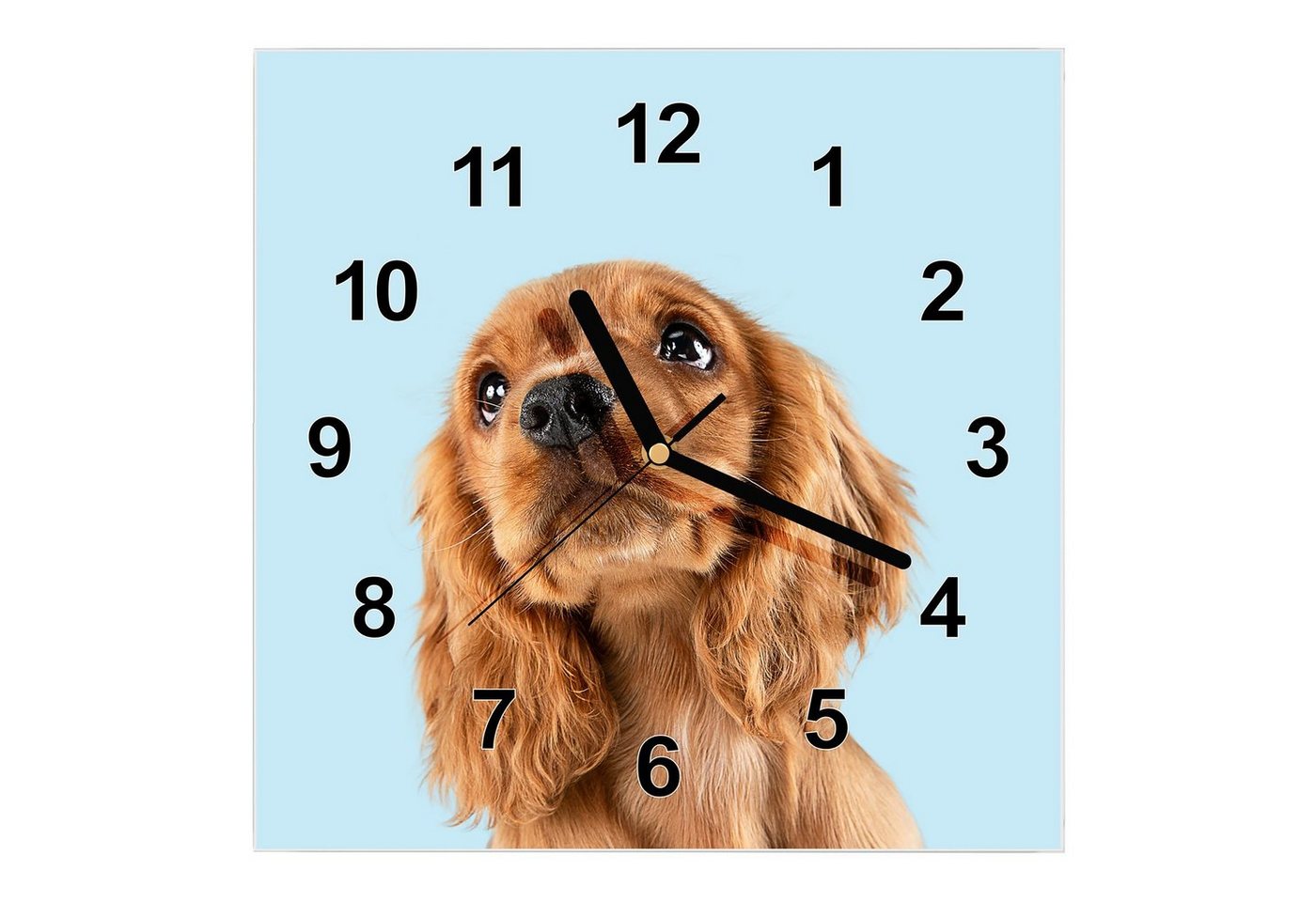 Primedeco Wanduhr Glasuhr Wanduhr Wandkunst Größe 30 x 30 cm mit Motiv Cocker Spaniel Kopf von Primedeco