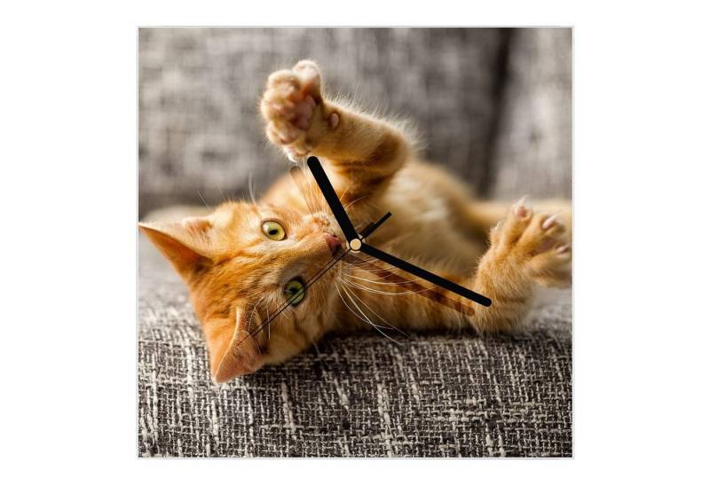 Primedeco Wanduhr Glasuhr Wanduhr Wandkunst Größe 30 x 30 cm mit Motiv Katze spielt auf Bett von Primedeco