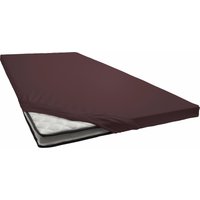 Primera Spannbettlaken "Elasthan-Feinjersey Topper" Aus 95% gekämmter Baumwolle und 5% Elastan Primera Spannbettlaken "Elasthan-Feinjersey Topper" Aus 95% gekämmter Baumwolle und 5% Elastan von Primera