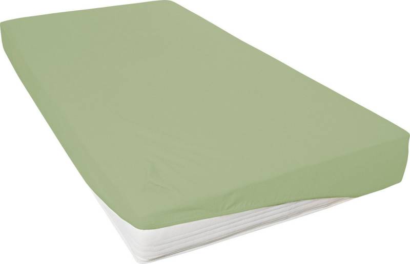 Primera Spannbettlaken Spannbettlaken "Cozy Cotton", Biber, Gummizug: Rundumgummi, (1 Stück), Uni von Primera