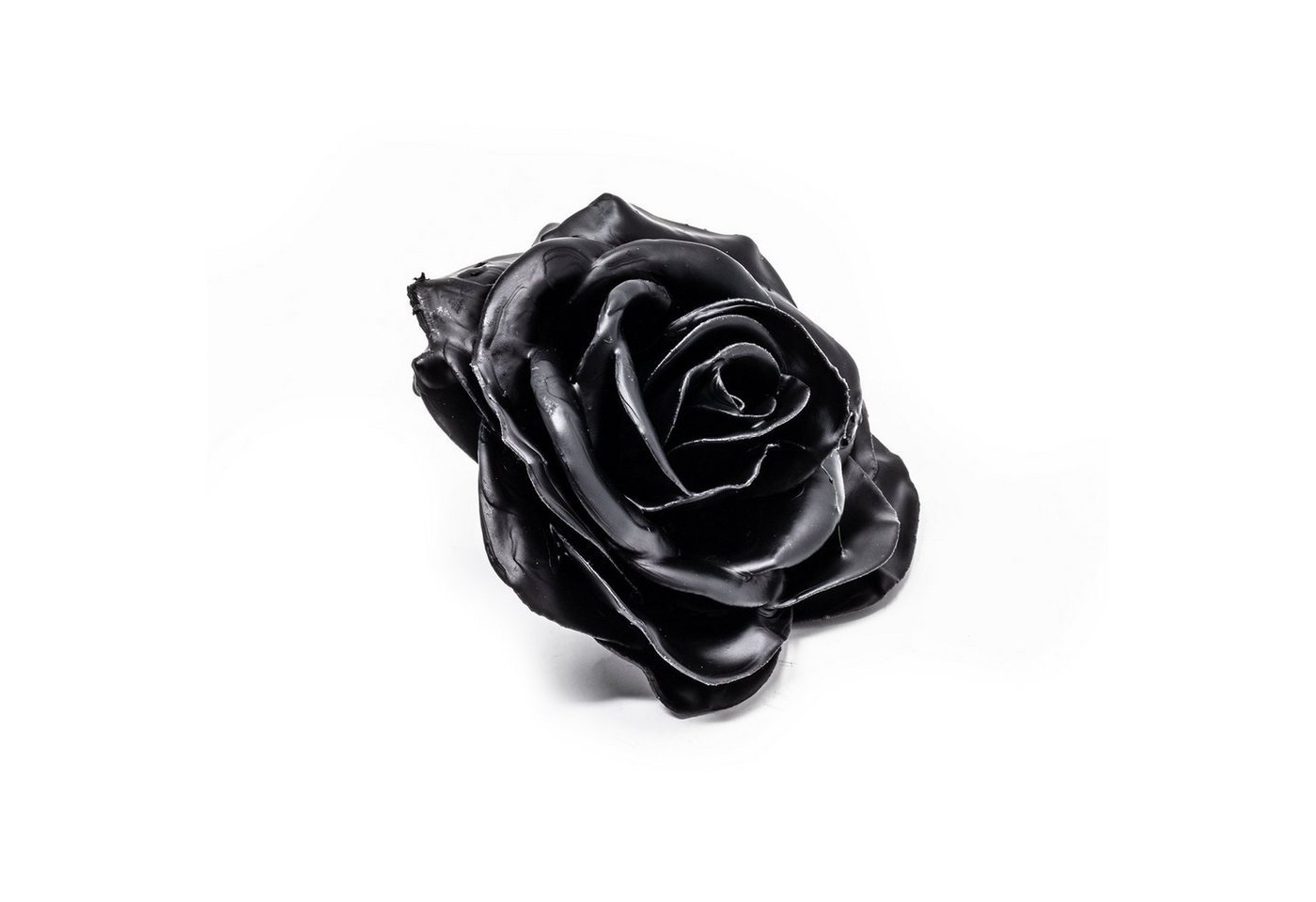Trockenblume 10er-Set Wachsrose - Black, Primera, Höhe 20 cm von Primera