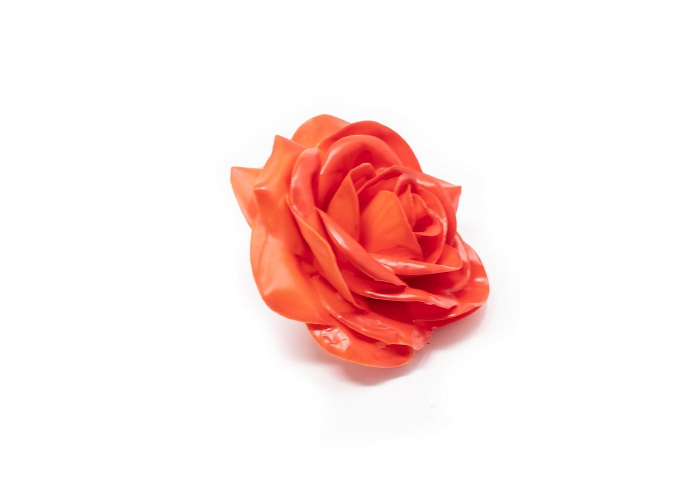 Trockenblume 10er-Set Wachsrose - Orange Blush Red, Primera, Höhe 20 cm von Primera