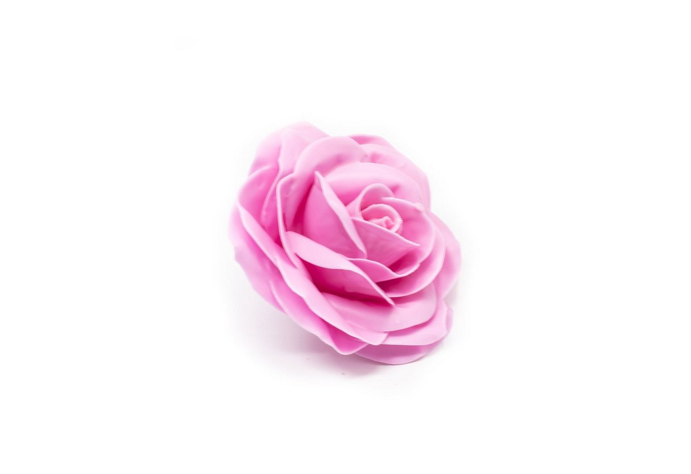 Trockenblume 10er-Set Wachsrose - Pink, Primera, Höhe 20 cm von Primera