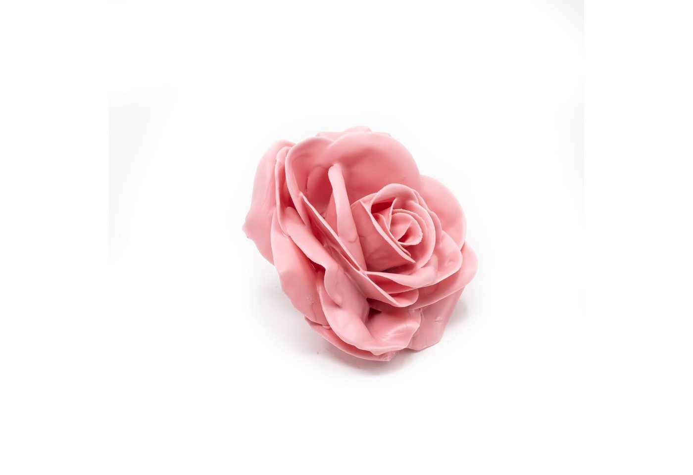 Trockenblume 10er-Set Wachsrose - Pink Soft, Primera, Höhe 20 cm von Primera