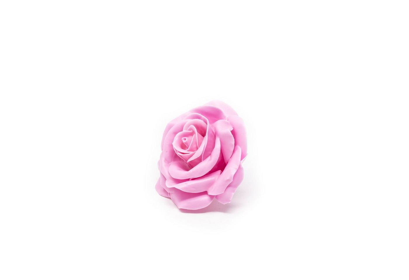 Trockenblume 12er Set Wachsrose - Pink, Primera, Höhe 25 cm von Primera