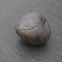 Precussion Rassel Precussion Rassel von PrimitiveClayWorks