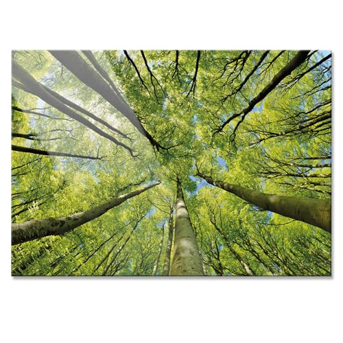 Primus Print - Wandbild Glasbild - Acrylglas Wanddeko Bild für Schlafzimmer, Wohnzimmer, Büro, Praxis - Wandbilder Dekoration - Wand Kunstdruck - inkl. Montage (Acryl, Bäume 84,1x59,4 cm) von Primus-Print.de