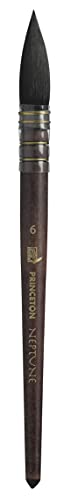 Princeton Pri Neptune Syn Sh Federkiel, Größe 6 Princeton Pri Neptune Syn Sh Federkiel, Größe 6 von Princeton