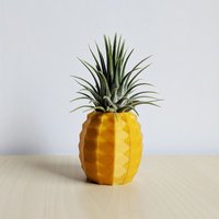 Ananas Luftpflanzenhalter Als Geschenk Für Sie, Ihn, Gold-Ananas, Printapet-Ananas-Pflanzer, Luftpflanzenbehälter von PrintAPot