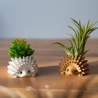 Einzelner Mini Igel Übertopf, Kleiner Sukkulententopf, Igel-Luftpflanzer | Neuheit Pflanzer, Spezialität Tiny Planter von PrintAPot