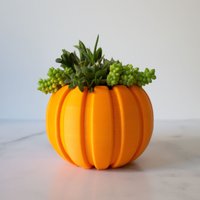 Grosser Sukkulenten Kürbis Pflanzer, Herbst Topf, Halloween Pflanzer Für Sukkulenten, Arrangement Topf von PrintAPot