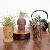 Holz-Buddha-Luftpflanzenhalter, 3D-Gedruckter Holz-Buddha-Kopf-Luftpflanzgefäß von PrintAPot