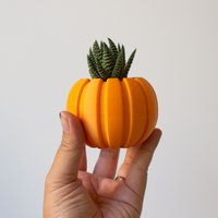 Kleiner Sukkulenten-Kürbis-Übertopf, Herbst-Sukkulenten-Übertopf, Herbst-Kürbis-Topf, Halloween-Übertopf Für Sukkulenten, Sukkulenten-Topf Kleiner Sukkulenten-Kürbis-Übertopf, Herbst-Sukkulenten-Übertopf, Herbst-Kürbis-Topf, Halloween-Übertopf Für Sukkulenten, Sukkulenten-Topf von PrintAPot