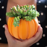 Mittel Kürbis Pflanzer, Sukkulenten Herbst Dekor, Geschenk Für Herbst, Geschenk, Dekor von PrintAPot