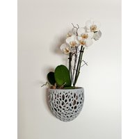 Orchideen-Wandpflanzer, Hängender Orchideentopf-Zaunpflanzer, Made For Moss, Diy Kokedama Und Moosball, Indoor-Übertopf von PrintAPot