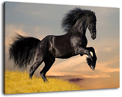 Schwarzes Pferd Format 120x80 cm Bild auf Leinwand, XXL riesige Bilder fertig gerahmt mit Keilrahmen, Kunstdruck auf Wandbild mit Rahmen von PrintArtGalery