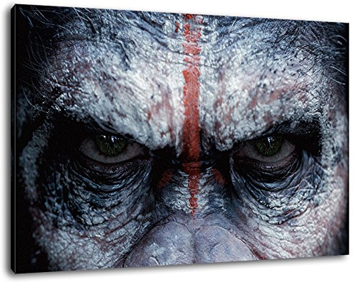 dawn of the planet of theapes Format 80x60 cm Bild auf Leinwand, XXL riesige Bilder fertig gerahmt mit Keilrahmen, Kunstdruck auf Wandbild mit Rahmen von PrintArtGalery