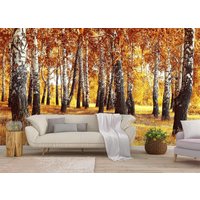 Herbst Birch Wald Tapete Wandbild, Wand Wandbild, Große Selbstklebende Schale & Stick Wandbild, Birken Bäume Wandbedeckung von PrintDecorShop